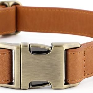 Plutus Pet Genuine Leather Dog Collar, Adjustable and Skin-Friendly